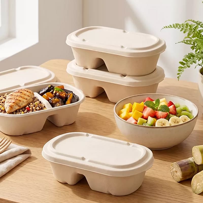 Two-Compartment Food Box