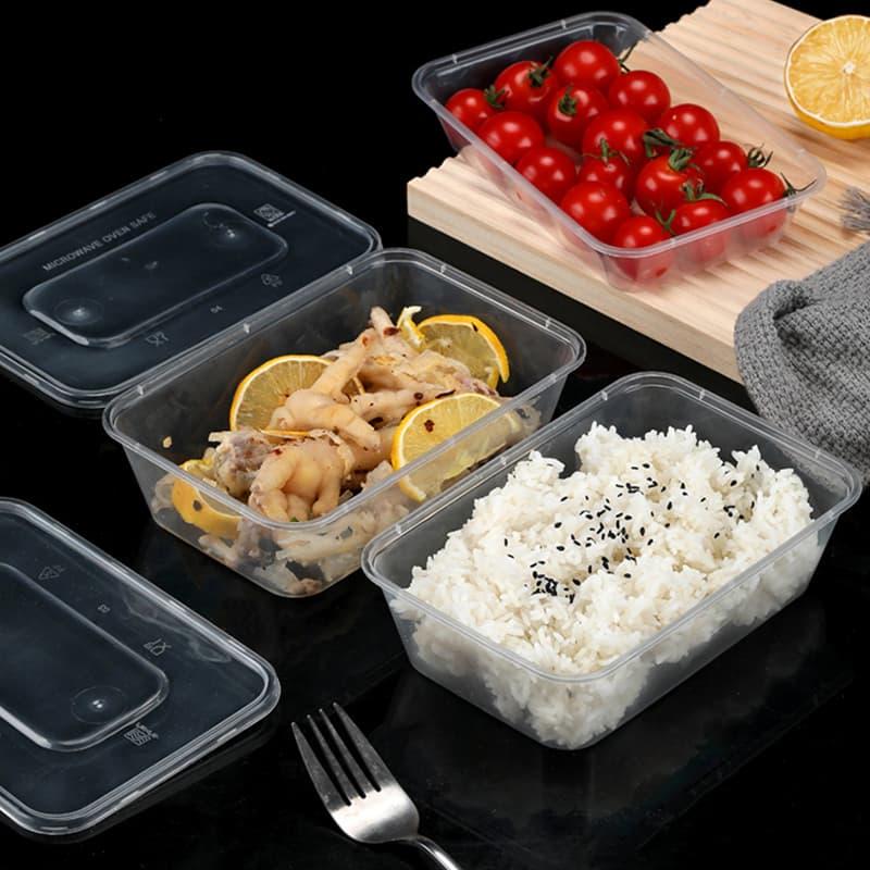 Food Container 08