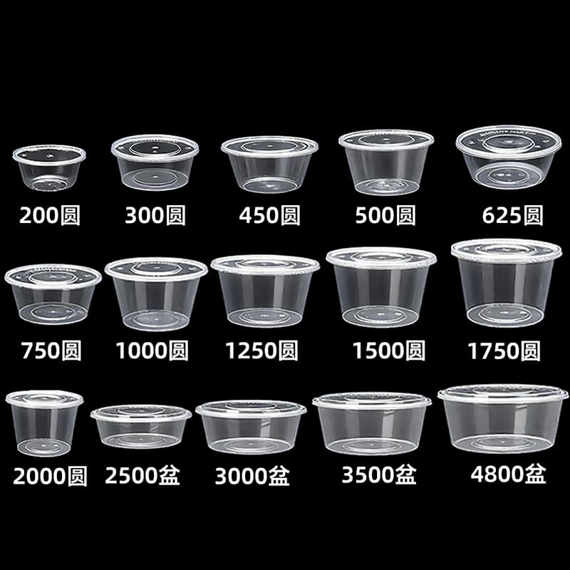 Food Container 13