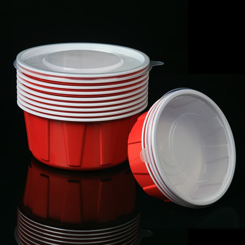 Food Container 656+
